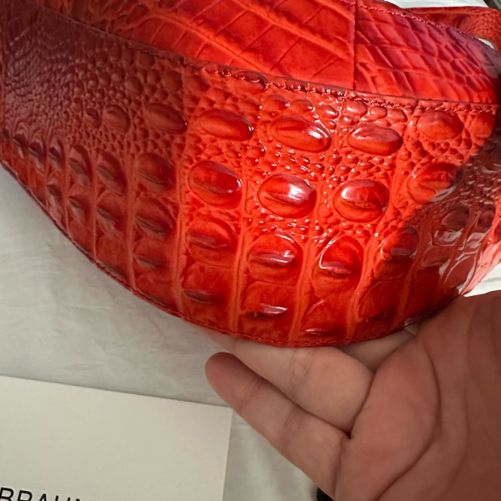 Brahmin Flame - image 3